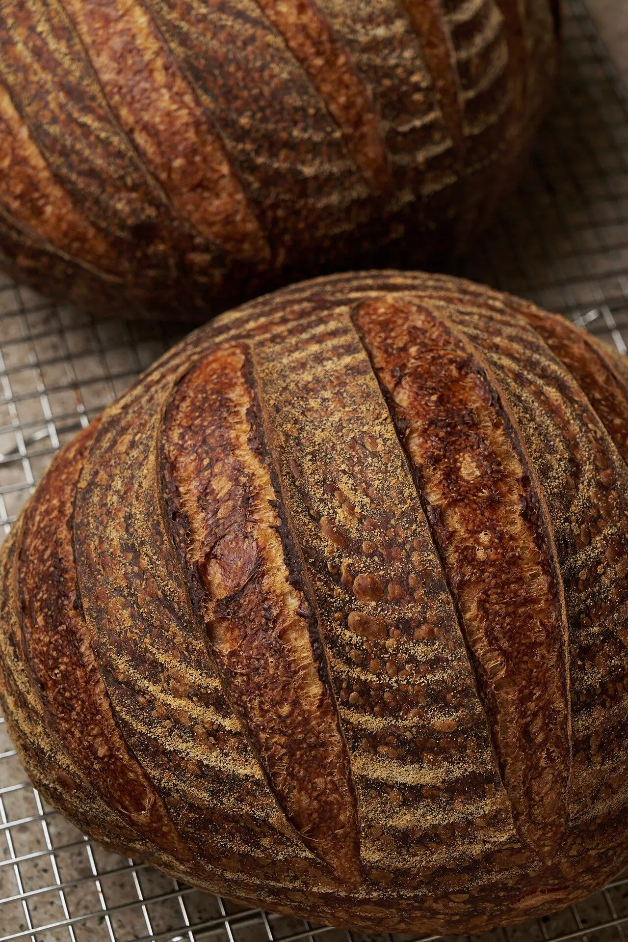 Two loaves of dark-crusted sourdough on a cooling rack